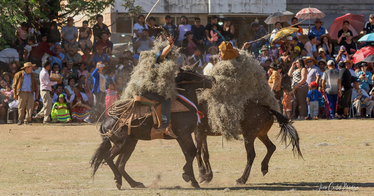 Encuentro en la festividad de Guadalupe, Tarija